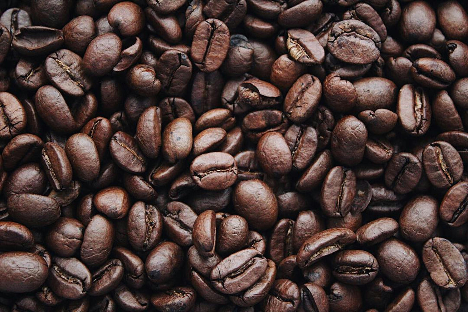 Signature coffee, elevated with purpose.