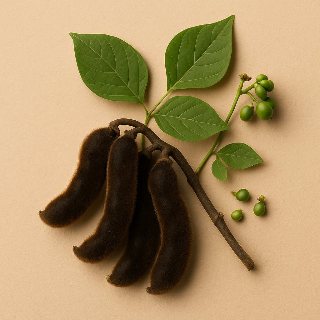 Kapikacchu and Fertility: Nature’s Aphrodisiac with Scientific Muscle