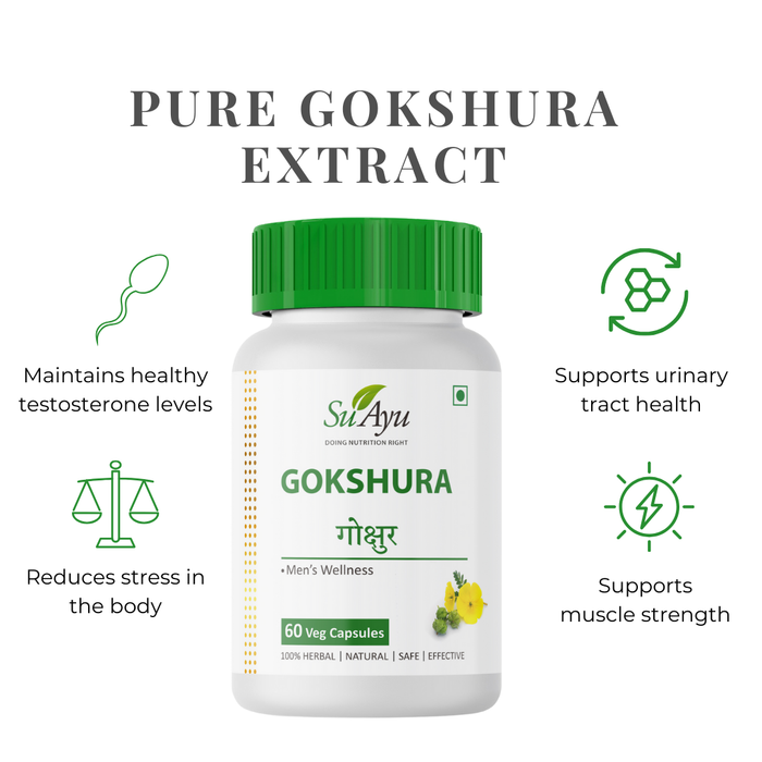 Seha FertilEase Plan for Men – Ayurvedic Fertility & Vitality Boost
