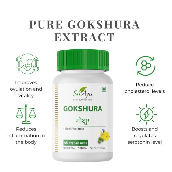 Seha MaxFert Her Plan – Advanced Ayurvedic Fertility Restoration for Women