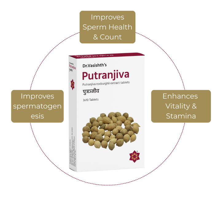 Seha MaxFert Plan – Intensive Ayurvedic Fertility Restoration for Men